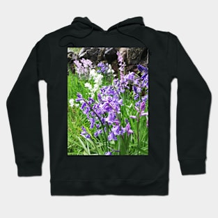 Bluebells photograph Hoodie